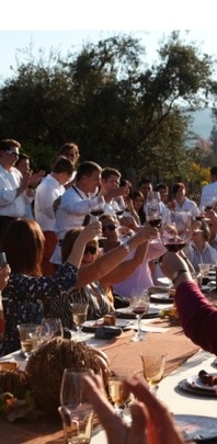 Harvest Party 2014